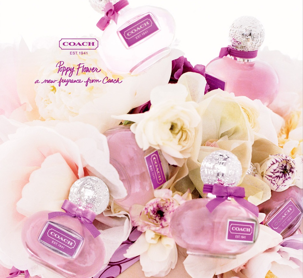 Nước hoa Poppy Flower by Coach